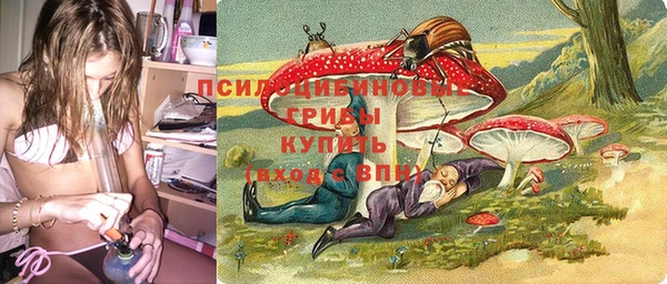 герыч Алексин