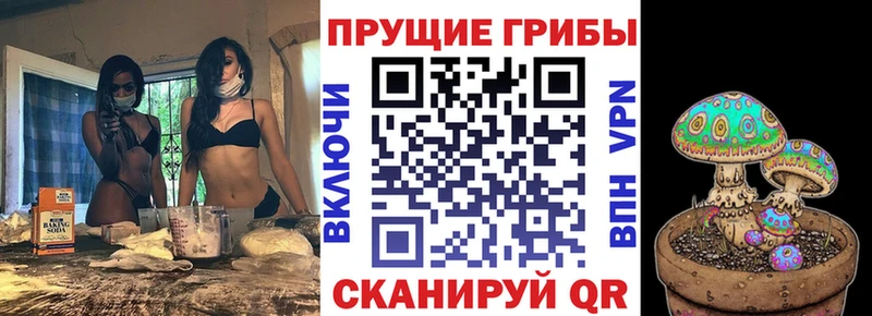 гидра ссылка  дарк нет официальный сайт  Галлюциногенные грибы мицелий  хочу   Дно 
